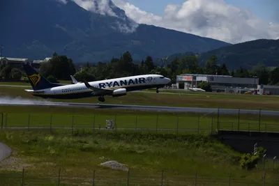 DSC_6296 (Large).JPG